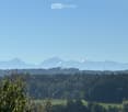 A panoramic view of a lush green forest and distant mountain range under a clear blue sky.