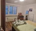 Bedroom with wooden flooring, large window with blinds, bed with green bedding, nightstand, mirror, radiator, picture frame, wicker basket, and speaker.