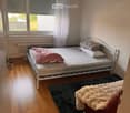 A small bedroom with a single bed, pillows, a blanket, and a fluffy throw on a dark rug. The room has wooden flooring and large windows with blinds.