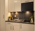 Modern kitchen with light-colored cabinets, stainless steel sink, induction cooktop, and small potted plants on the counter.