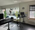 Modern office space with two standing desks, chairs, laptops, screens, potted plants, and a radiator near the window.