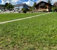 A grassy area with a pathway leading to a residential area, featuring houses with solar panels and a stone retaining wall.