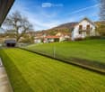 Well-maintained lawn bordered by a wire fence, with a small shed and neighboring houses visible in the background.