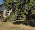 A well-maintained garden with a large apple tree, a wooden shed, a bench, and a house with large windows and a covered entrance.