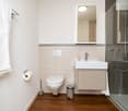 modern bathroom, white toilet, sink, shower stall, wooden floor