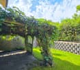 Green lawn, wooden pergola with climbing plants, retaining wall, wooden gate