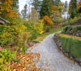 Gravel path, stone walls, variety of plants, colorful leaves, yellow sign in background