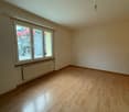 Empty room with white walls, wooden floor, large window with white frames, heater below the window