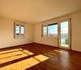 Spacious room with large windows, hardwood flooring, and neutral wall color. The room appears to be a living room or bedroom with ample natural light coming in through the windows.