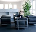 modern office with black leather chairs, white cabinets, large windows, tall plant