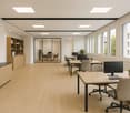 modern office space, wooden desks, chairs, monitors, shelves, large windows, plants
