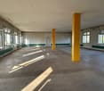 An empty room with white walls, grey flooring, yellow columns, large windows, and white ceiling.
