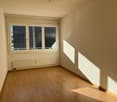 wooden floor, blank wall, big windows, radiator