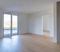 large glass door with terrace access, wooden floor, white walls, large window
