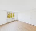 Empty room, white walls, wooden floor, white windows, heating radiators