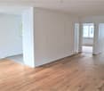 Empty room, wooden floors, white walls, windows, doors