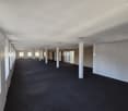 Long, empty hallway with black carpeting, white walls, white perforated ceiling, windows, columns