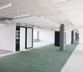Open floor plan with white walls, glass doors, large windows, white ceiling with white beams, green carpet on one side