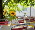 Table with sunflowers, chairs, and a tree in the background