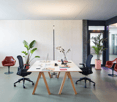A modern office space with white walls, wooden desks, and contemporary furniture, including swivel chairs and monitors. Potted plants are placed on either side of the desk.