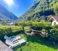 mountain view, wooden lounge chairs, picnic table, house, grass, vineyard, trees