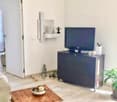 large window, TV on cabinet, couch with blanket, wooden coffee table with bowl, potted plant