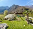 green lawn, palm tree, garden tools, mountains in the background