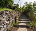 Stone steps leading up to a house, stone retaining wall, trees and grass