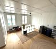 empty room, wooden floor, white walls, white ceiling, rug, storage boxes, luggage, shelves, plant
