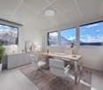 modern office with white walls, large windows, desk, chairs, lamps, potted plant, shelves, carpet