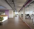 office corridor, brown tiles, white ceiling, gray walls, glass partitions, interior plants, multiple desks and office chairs, computer monitors, office plants, windows, track lighting