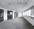Office hall, neutral color scheme, large windows, carpeted floor