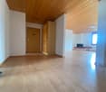 wooden ceiling, hardwood floor, white walls, wooden wardrobe, fireplace, window