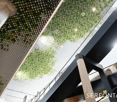 modern building, green and white ceiling, black railings, glass floor