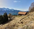 Mountain cottage with brown roof, surrounded by trees and mountains, lake in the background