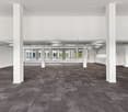 Spacious room with carpeted floor, white pillars, ceiling lamps, and large windows.