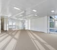 empty room with white walls, glass windows, ceiling lights, carpeted floor