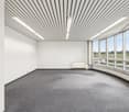 Large open room with high ceiling and striped pattern, floor-to-ceiling windows providing a view of the outdoor landscape, gray carpeted floor