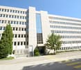Office building with white exterior, large windows, main entrance with glass doors, 2 trees in front, yellow pedestrian lines, 2 cars parked