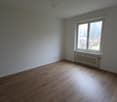 empty room, white walls, wooden floor, window with white frame, white radiator