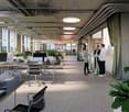 office space, desks, chairs, computers, plants, open space layout
