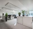 modern office with white walls and ceilings, desks, chairs, plants, office equipment, carpet floor