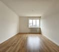Empty room with white walls, hardwood flooring, and a window with a radiator underneath.