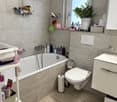 The image shows a modern bathroom with gray tile walls and floors. It has a bathtub, toilet, vanity with a mirror, and various toiletries and decor items such as a potted plant and bath accessories. The bathroom appears to be well-organized and well-maint