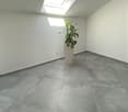 empty room, gray tiled floor, white walls, tall potted plant, skylight