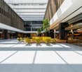 Open lobby with modern furniture, glass partitions, seating areas, trees, and ample natural light.
