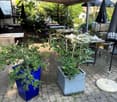covered outdoor dining area with brick flooring, umbrellas, and dining tables and chairs