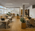 Open office with large windows, wooden desks, white walls, potted plants, office chairs