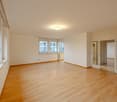 open room, hardwood floor, white walls, ceiling lamp, windows, doors