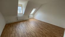 empty room with wooden floors, white walls, 2 skylights, radiators